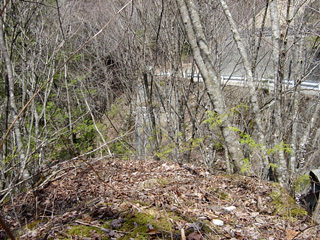 ����X�ѓS�����ː��,�J���򋴗�,�ѓS,�p����