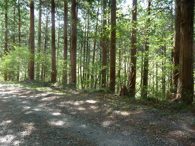 ���ː�X�ѓS��,�ѓS,�p����,�p�ԑ�,B�^�q��,�O����