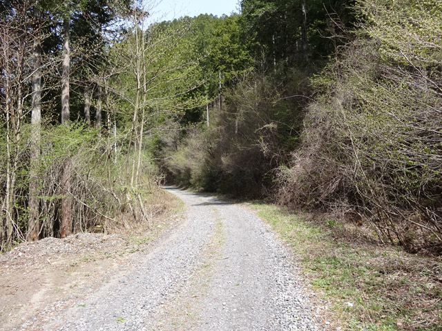 ���ː�X�ѓS��,�ѓS,�p����,�O����,�ѓ�,����