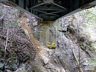 ����X�ѓS�����ː��,�V���򋴗�,�ѓS,�p����,����