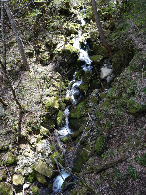 ����X�ѓS�����ː��,�V���򋴗�,�ѓS,�p����