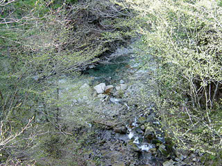 ����X�ѓS�����ː��,�V���򋴗�,�ѓS,�p����