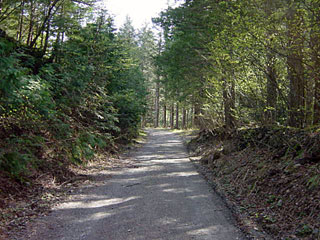 ����X�ѓS�����ː��,�ѓS,�p����