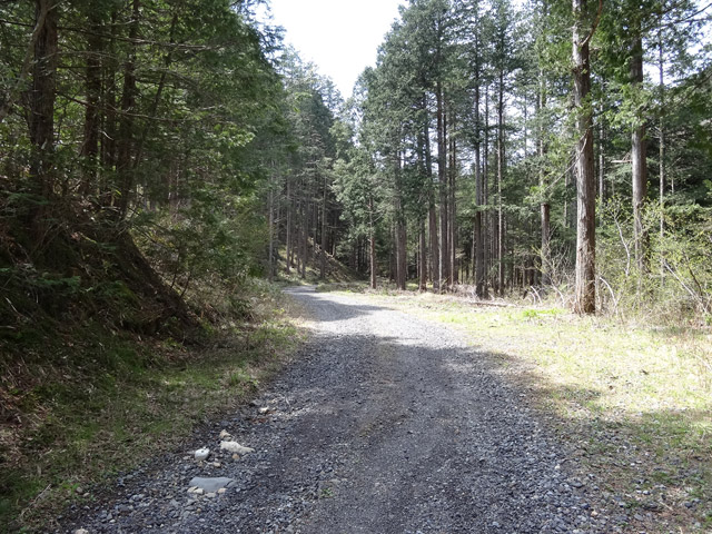 ����X�ѓS�����ː��,�ѓS,�p����