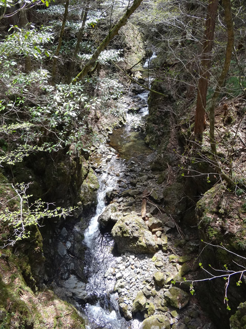 ����X�ѓS�����ː��,�ѓS,�p����,������,��Ɠ�