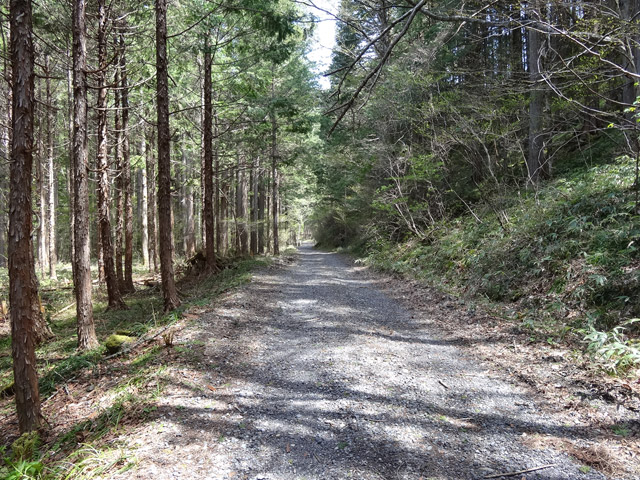 ���ː�X�ѓS��,�ѓS,�p����,��ԏ�,���i���Ə�