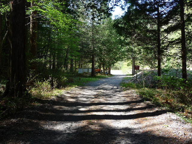 ���ː�X�ѓS��,�ѓS,�p����,��ԏ�,���i���Ə�