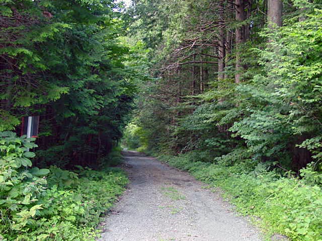 ���ː�X�ѓS��,�ѓS,�p����,��ԏ�,���i���Ə�