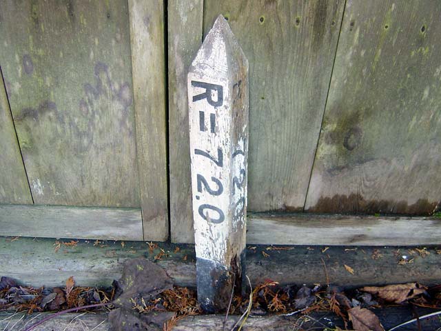 ���ː�X�ѓS��,�ѓS,�p����,��ԏ�,���i���Ə�,�Ȑ��W