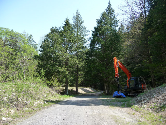 ���ː�X�ѓS��,�ѓS,�p����,��ԏ�,���i���Ə�,�ы�