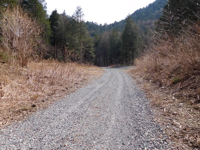 ���ː�X�ѓS��,�ѓS,�p����,��ԏ�,����c�я�