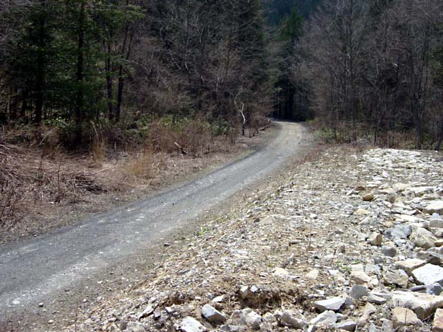 ���ː�X�ѓS��,�ѓS,�p����,��ԏ�,����c�я�