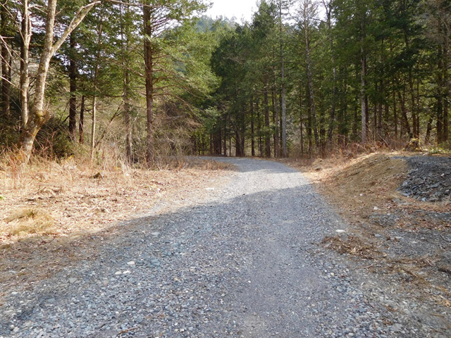 ���ː�X�ѓS��,�ѓS,�p����,��ԏ�,����c�я�