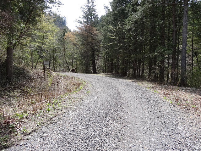 ���ː�X�ѓS��,�ѓS,�p����,�ѓ�,����c�я�