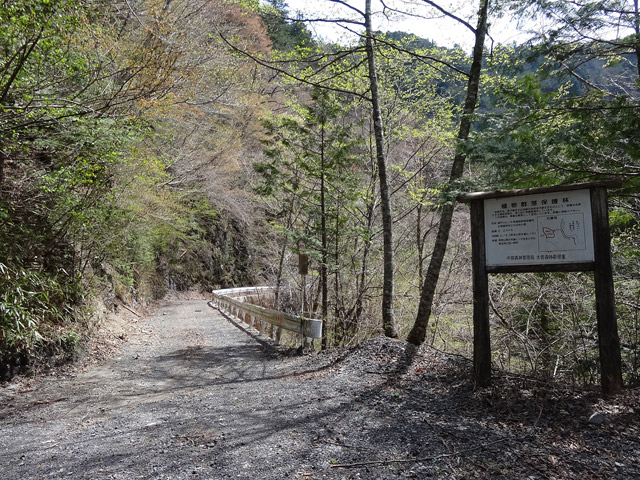 ���ː�X�ѓS��,�ѓS,�p����,�ѓ�,����c�я�