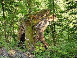 ���ː�X�ѓS��,�ѓS,�p����,�ѓ�,����c�я�