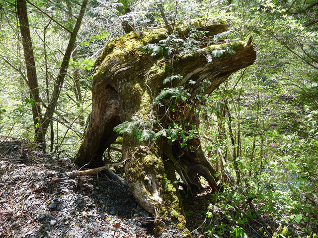 ���ː�X�ѓS��,�ѓS,�p����,�ѓ�,����c�я�