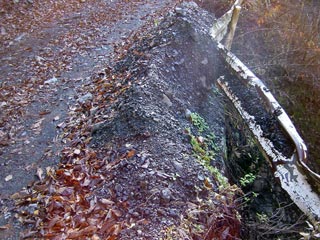 ���ː�X�ѓS��,�ѓS,�p����,�ѓ�,�O����