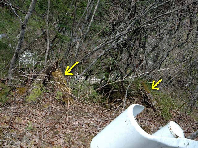 ���ː�X�ѓS��,�ѓS,�p����,�V��,�O����