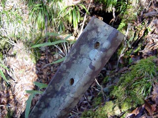 ���ː�X�ѓS��,�ѓS,�p����,���[��,�O����