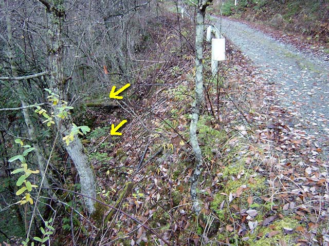 ���ː�X�ѓS��,�ѓS,�p����,�V��,�O����