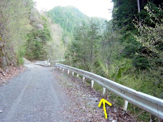 ���ː�X�ѓS��,�ѓS,�p����,����,�؋�