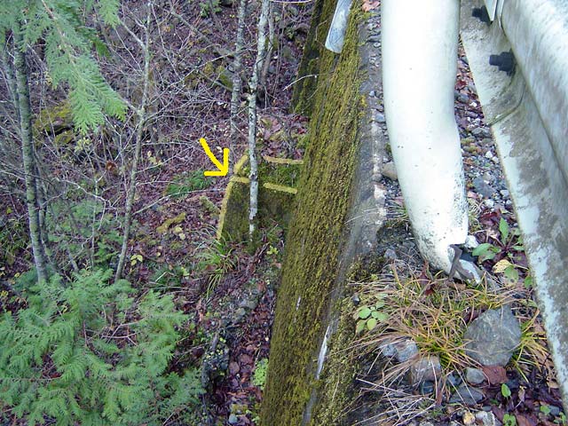 ���ː�X�ѓS��,�ѓS,�p����,����,�؋�,�s�A