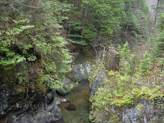 ���ː�X�ѓS��,�ѓS,�p����,����,�؋�,�s�A