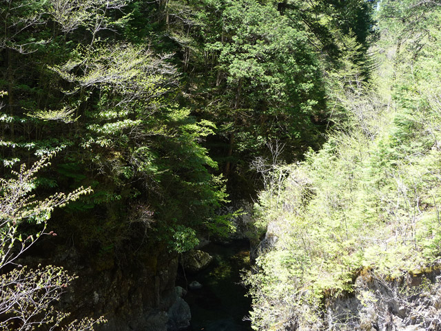 ���ː�X�ѓS��,�ѓS,�p����,����,�؋�,�s�A