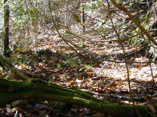 ���ː�X�ѓS��,�ѓS,�p����,�O����