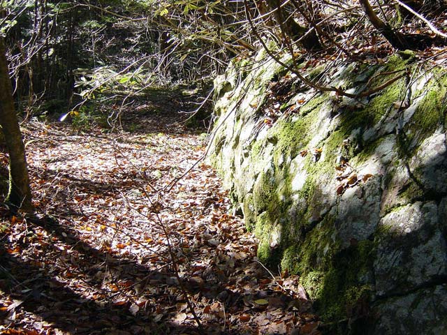 ���ː�X�ѓS��,�ѓS,�p����,�O����,�Ί_