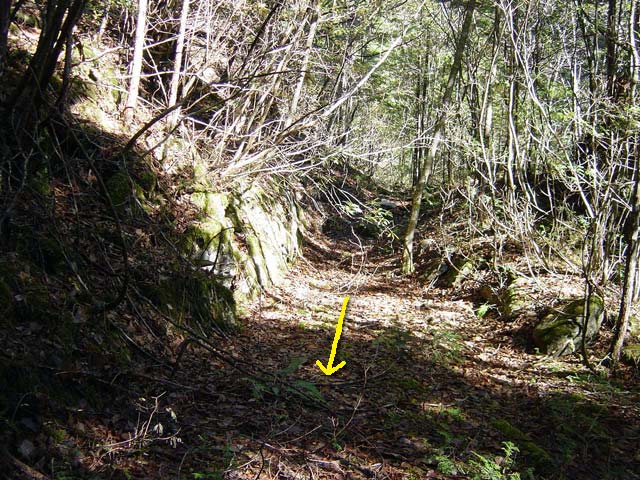 ���ː�X�ѓS��,�ѓS,�p����,�O����,���ґ򋴗�,�؋�