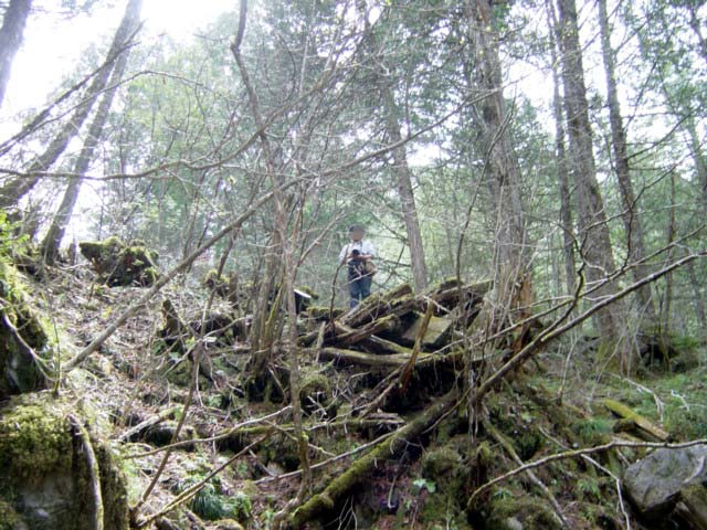 ���ː�X�ѓS��,�ѓS,�p����,���ґ򋴗�,�؋�,�O����