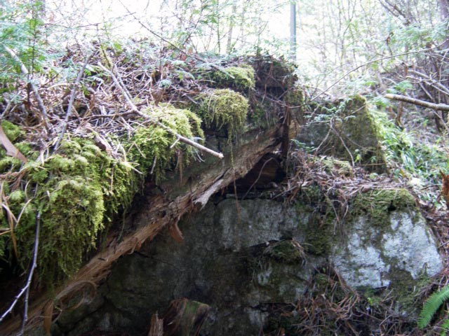 ���ː�X�ѓS��,�ѓS,�p����,���ґ򋴗�,�؋�,�O����