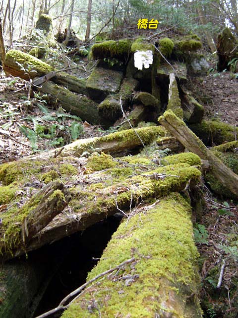 ���ː�X�ѓS��,�ѓS,�p����,���ґ򋴗�,�؋�,�O����