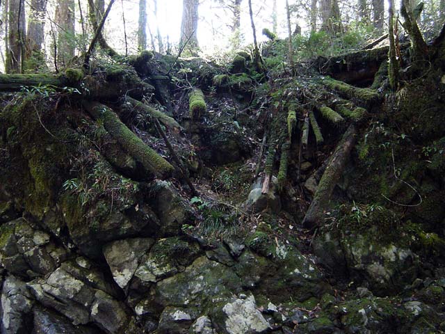 ���ː�X�ѓS��,�ѓS,�p����,���ґ򋴗�,�؋�,�����H