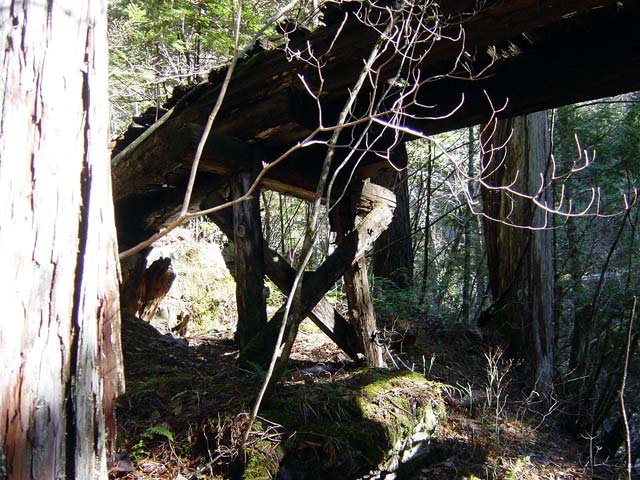 ���ː�X�ѓS��,�ѓS,�p����,���ґ򋴗�,�؋�,�����H