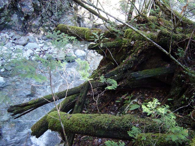 ���ː�X�ѓS��,�ѓS,�p����,���ґ򋴗�,�؋�,�����H