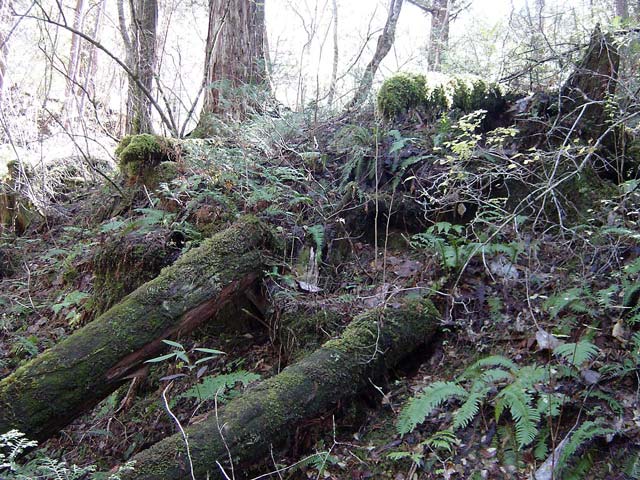 ���ː�X�ѓS��,�ѓS,�p����,���ґ򋴗�,�؋�,�����H