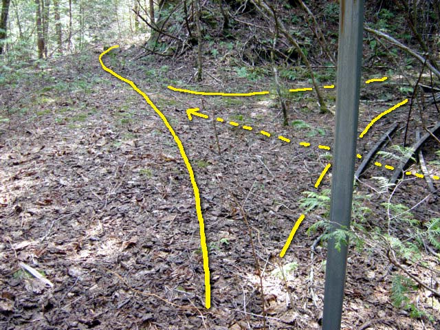 ���ː�X�ѓS��,�ѓS,�p����,���ґ��ƋO��,�����H