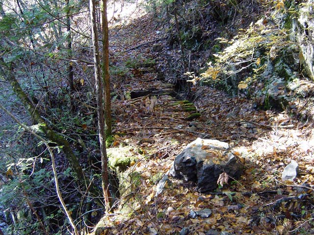 ���ː�X�ѓS��,�ѓS,�p����,�s�����V��,�؋�