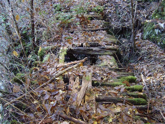 ���ː�X�ѓS��,�ѓS,�p����,�s�����V��,�؋�