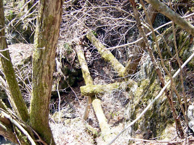 ���ː�X�ѓS��,�ѓS,�p����,�s�����V��,�؋�