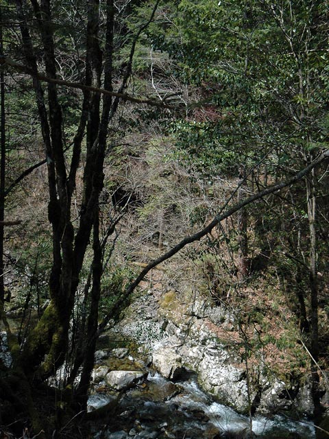 ���ː�X�ѓS��,�ѓS,�p����,�s�����V��,�؋�