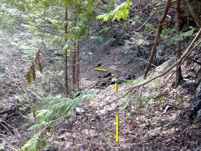 ���ː�X�ѓS��,�ѓS,�p����,����,�O����