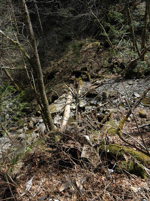 ���ː�X�ѓS��,�ѓS,�p����,���J���򋴗�,�؋�