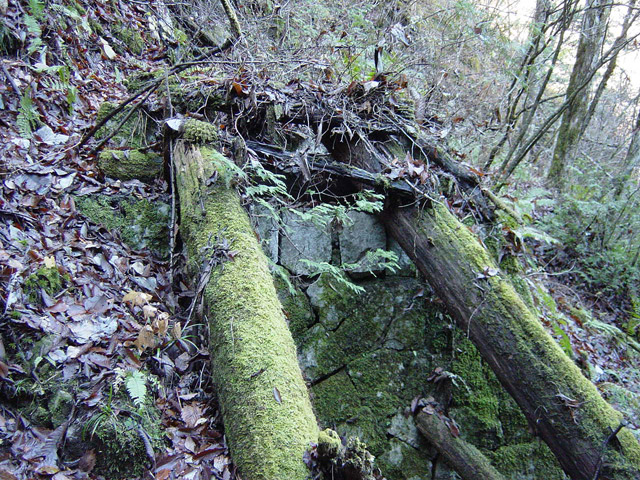 ���ː�X�ѓS��,�ѓS,�p����,���J���򋴗�,�؋�