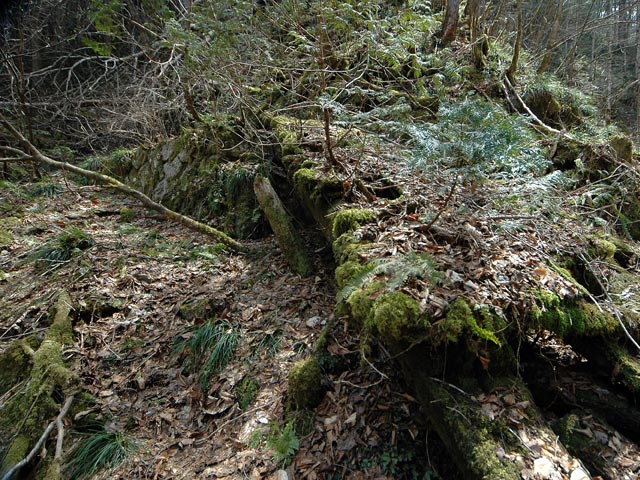 ���ː�X�ѓS��,�ѓS,�p����,���J���򋴗�,�؋�