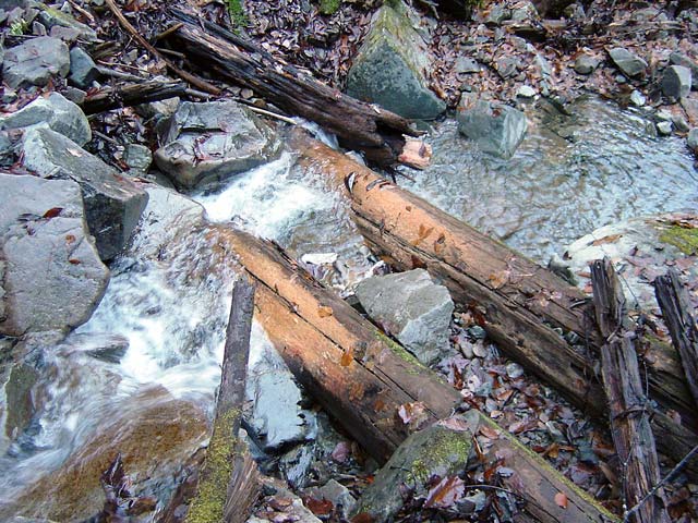 ���ː�X�ѓS��,�ѓS,�p����,���J���򋴗�,�؋�