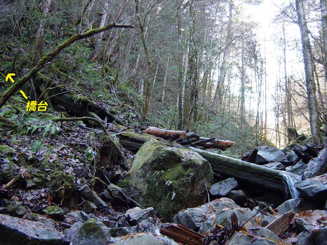 ���ː�X�ѓS��,�ѓS,�p����,���J���򋴗�,�؋�